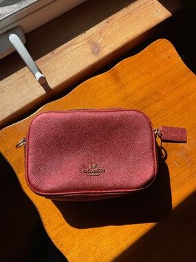 Coach Jes 20 Camera Bag - Metallic Clay